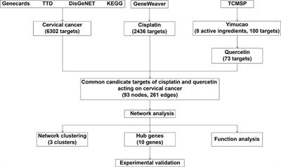 Prediction of the Mechanisms by Which Quercetin Enhances Cisplatin Action in Cervical Cancer: A Network Pharmacology Study and Experimental Validation